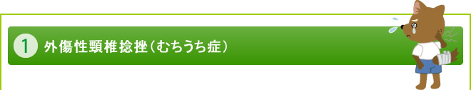 外傷性頸椎捻挫（むちうち症）